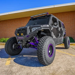 2025 Polaris Xpedition, Gray / Black / Purple