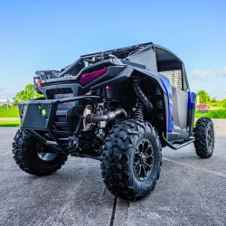 2025 Polaris RZR XP, Champ Legal Racing Chassis