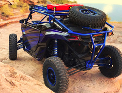 2019 Can-Am Maverick X3, Triumph Motorsports