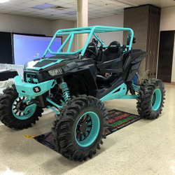 2015 Polaris RZR XP 1000, Mr Freeze