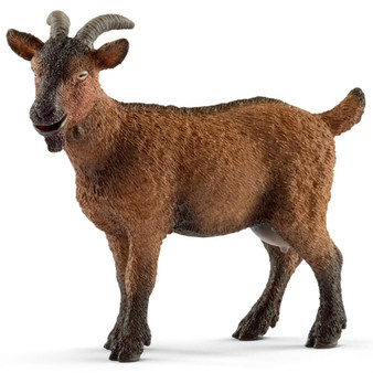 SC13828 Goat