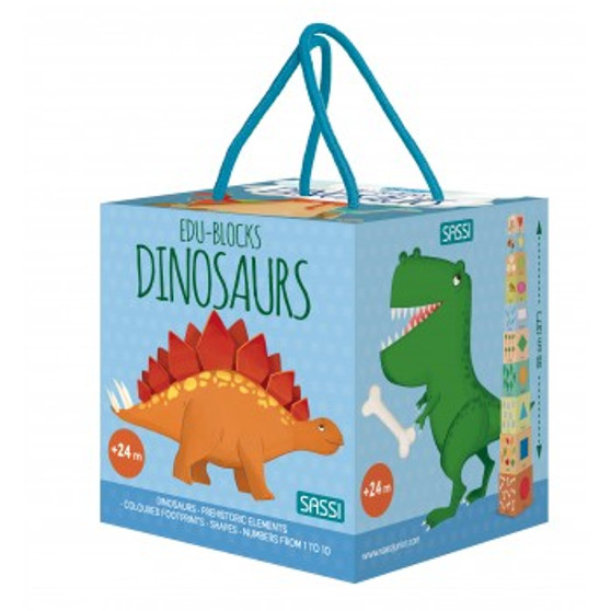 Dinosaur Edu Blocks and Book