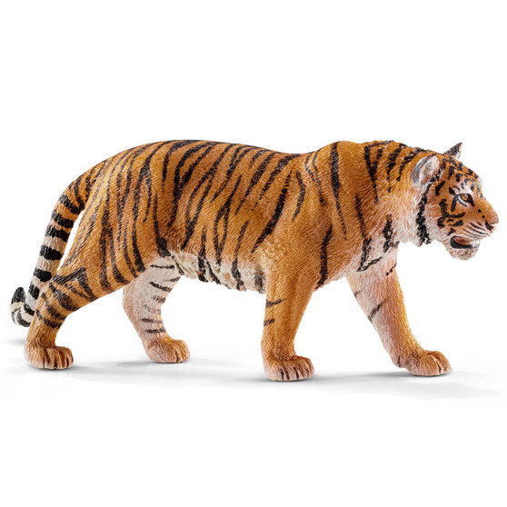 SC14729 Tiger