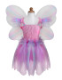 Pink Butterfly Dress & Wings with Wand