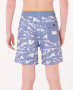 Ty Volley Boardshort