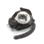 Miaou the Cat - mum & baby