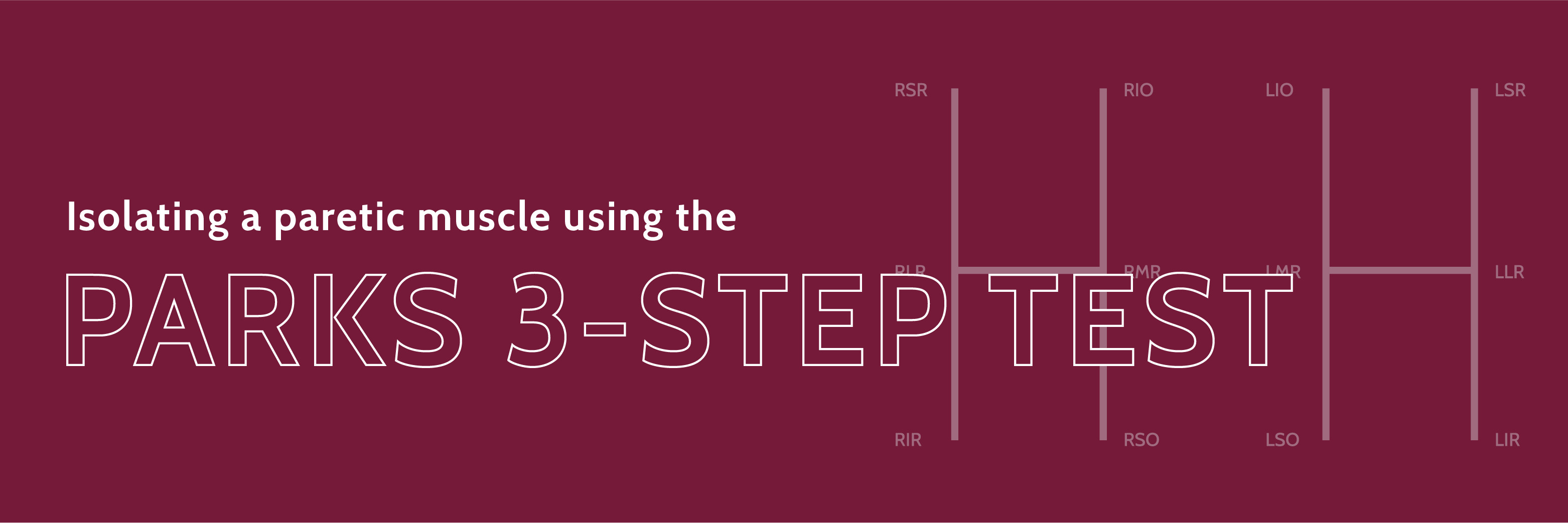 Isolating a Paretic Muscle Using the Parks 3-Step Test