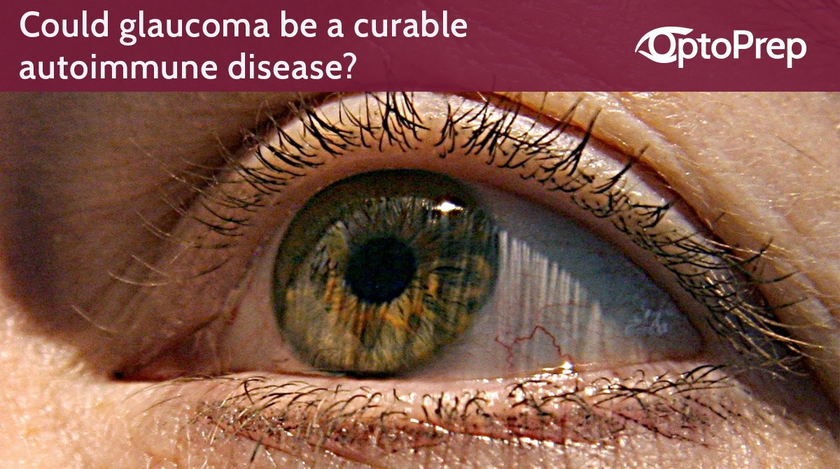 Could glaucoma be a curable autoimmune disease?