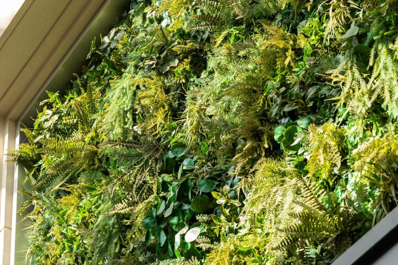 Architects’ Guide to Biophilic Design: The Benefits of Harmonizing Spaces with Nature