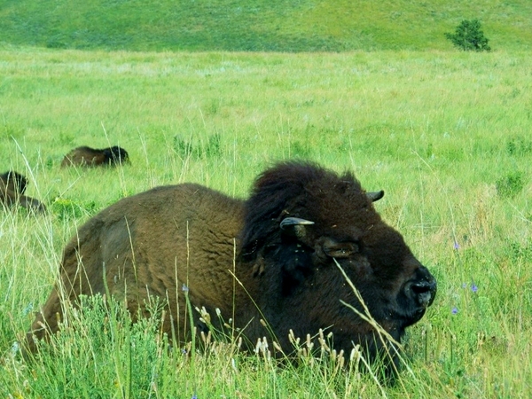 Land surveyor continuing education