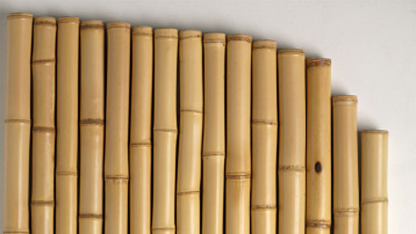 Sustainable bamboo