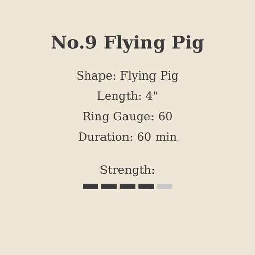 No.9 Flying Pig