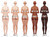 Womens Skin Tones Womens Skin Tones