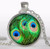 Peacock Cabochon 6 Peacock Cabochon 6
