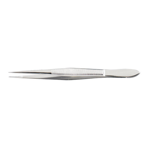 McKesson 43-1-779 - Splinter Forceps McKesson Argent™ 4 Inch Length OR / Surgical Grade German Stainless Steel NonSterile NonLocking Thumb Handle Straight Pointed Tips McKesson 43-1-779 - Splinter Forceps McKesson Argent™ 4 Inch Length OR / Surgical Grade German Stainless Steel NonSterile NonLocking Thumb Handle Straight Pointed Tips