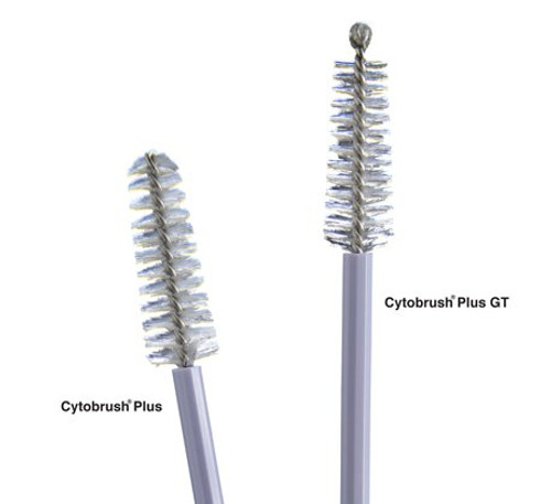 Cooper Surgical C0305 - Cytobrush® Plus GT Cytology Brush 196 mm Length Cooper Surgical C0305 - Cytobrush® Plus GT Cytology Brush 196 mm Length