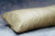 The Pillow Factory Division 51110-2060 - Body Pillow 20 X 60 Inch Beige Reusable