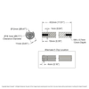 2109-4012-4320 Schematic