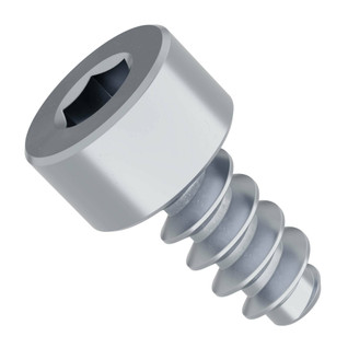 M4 Thread-Forming Socket Head Screws