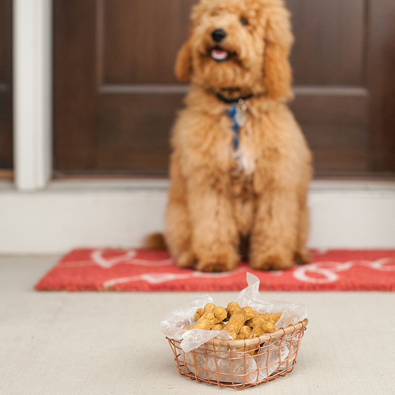 Golden-brown bone-shaped dog treats arranged on white surface with golden retriever sitting on doorstep in background