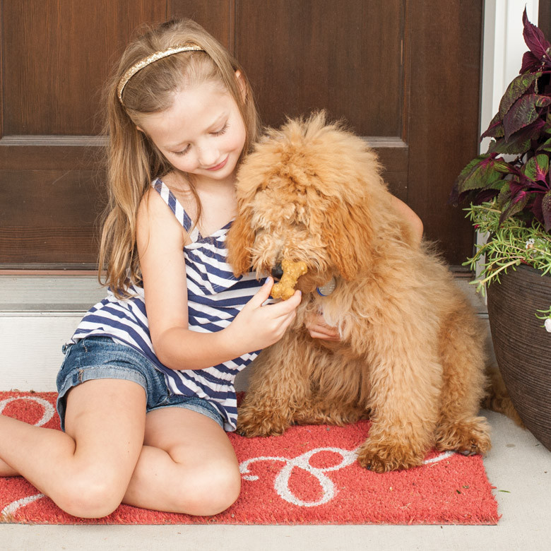 Girl in white shirt sitting on wooden steps feeding small bone-shaped dog treats to brown puppy