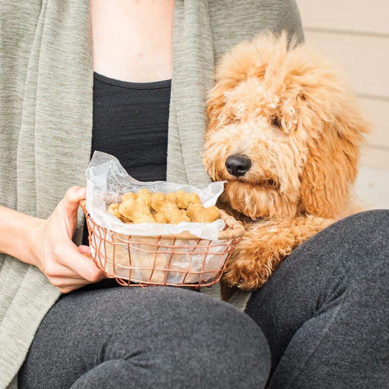 Person holding wicker basket of golden-brown bone-shaped dog treats with small puppy sitting on lap