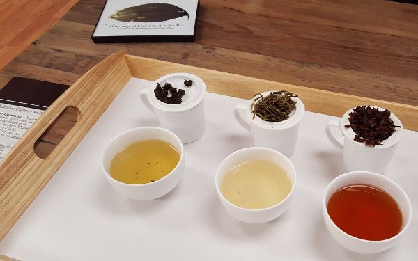 Dominion Tea Tasting Room