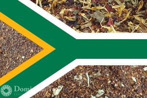 South African Rooibos Tea Exporer Pack