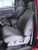 T775 1995-2000 Toyota Tacoma LTD XCab Sport Buckets with Lumbar on Drivers Side and Adj. Headrests