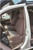 T868 2004 Toyota Sienna Front Captain Chairs with Side Impact Airbags and Lumbar and Lever on Drivers Side