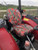 Durafit Seat Covers, Compatible with Yanmar Tractors YM342,YM347 and YM359 Split Between top and Base. No armrests, Exact Fit Seat Covers Red Endura Waterproof.