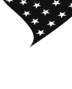 USA flag icon