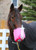 Flexineb E3 Portable Equine Nebulizer Complete System - ADULT - PINK