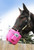 Flexineb E3 Portable Equine Nebulizer Complete System - ADULT - PINK