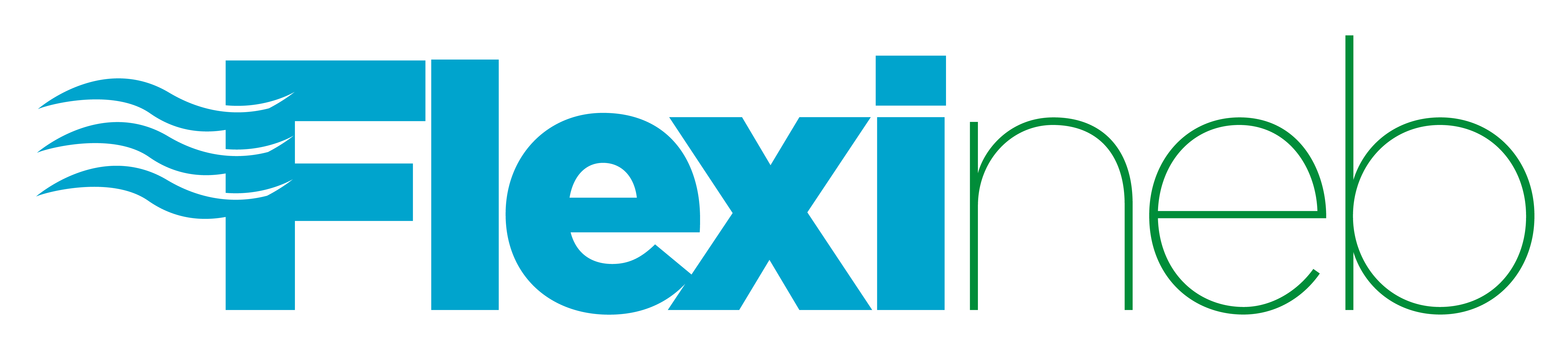 Flexineb USA