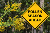 Preparing for Allergy Season: How Artificial Grass Keeps Pollen at Bay