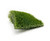 Peach Tree Synthetic Turf by SmartTurf® Artificial Grass sample