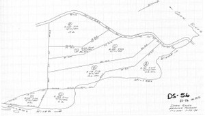 Waidlich Property Montague DS-056 - Map Reprint