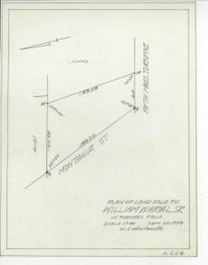 Arial, William W., Sr. Montague L-226 - Map (Digital Download Copy) Arial, William W., Sr. Montague L-226 - Map (Digital Download Copy)