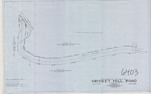 Crickett Hill Rd RELOC    Town Rd Conway 6403 - Map Reprint