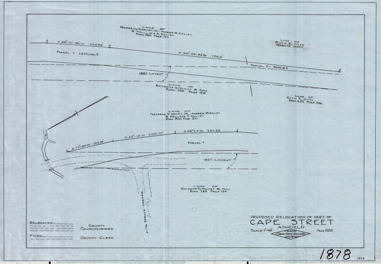 Cape Street LO Ashfield 1878 - Map Reprint