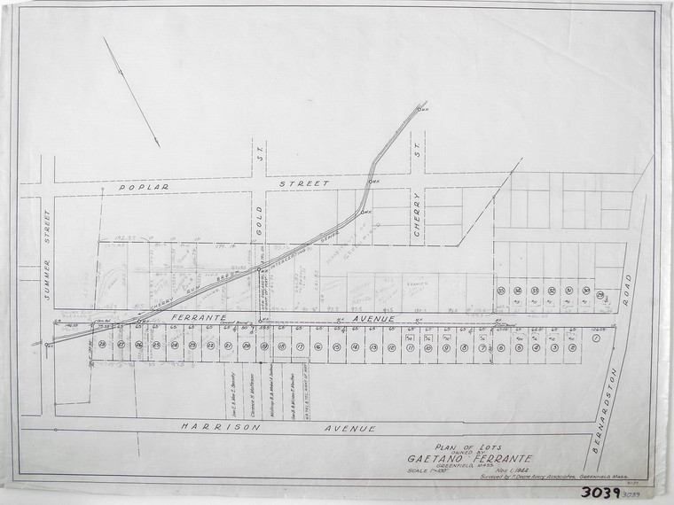 Gaetano Ferrante - Lots owned by Greenfield 3039 - Map Reprint