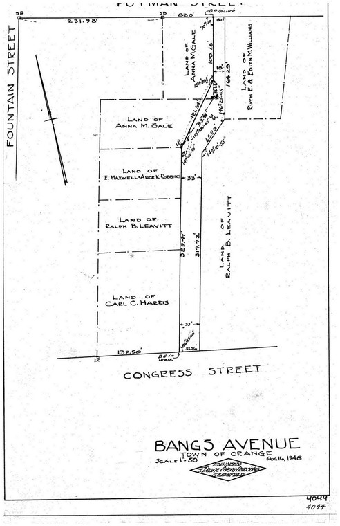 Bangs Avenue LO Orange 4044 - Map Reprint