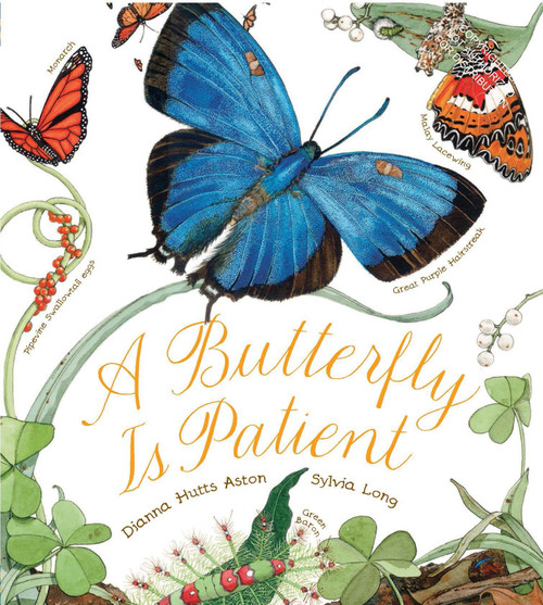 A Butterfly is Patient