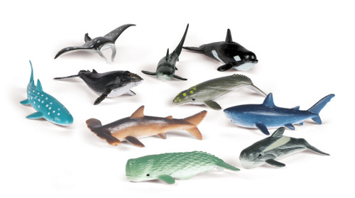 Ocean Animal Counters