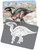 Discover Dinosaurs Picture Xrays and Cards