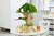 Woodland Trail Treehouse **New Product, Coming soon**