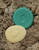 Let's Investigate – Bugs **New Product, Coming soon**