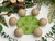Roll Around – Nature **New Product, Coming soon**