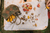 Grapat Mushroom Grove